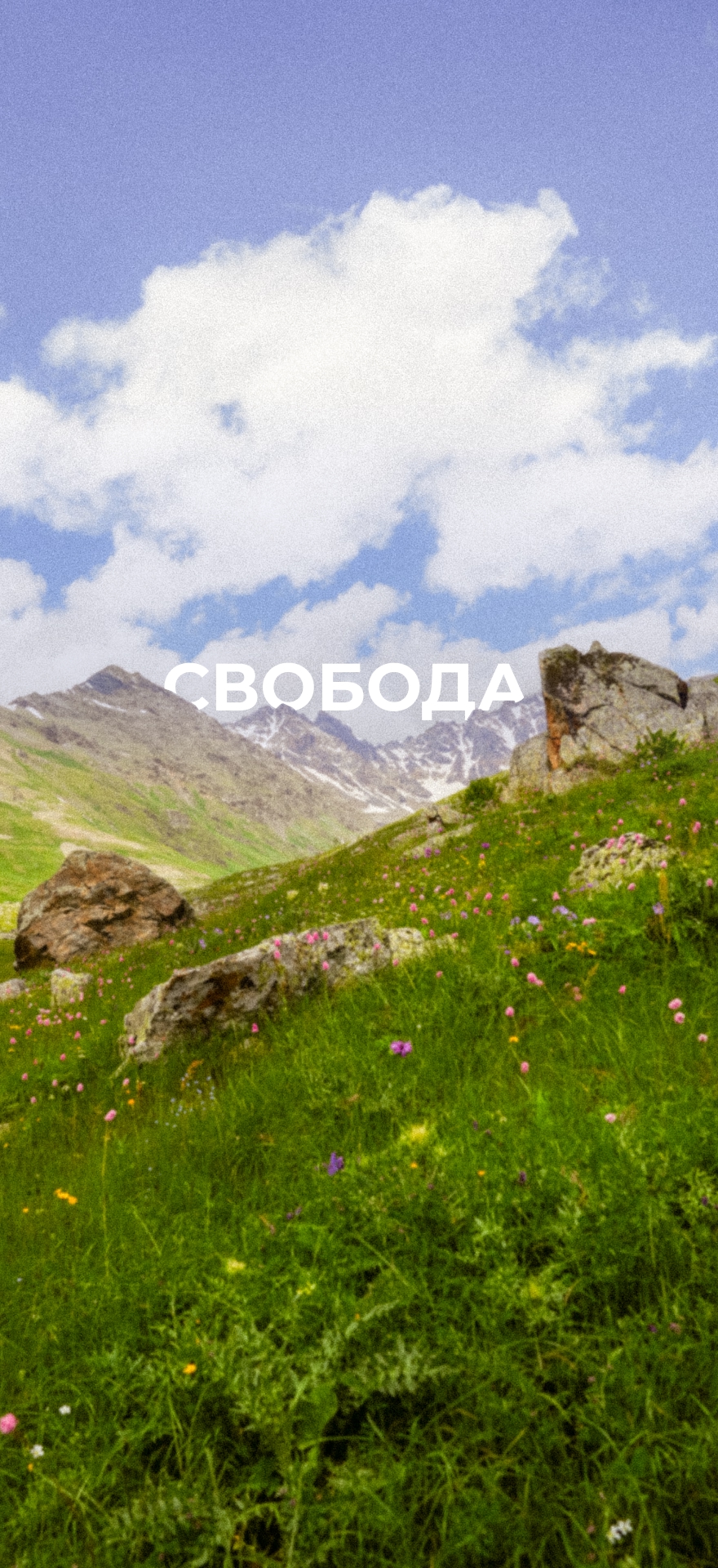 Пока вы не в горах, пусть они вдохновляют вас с экрана