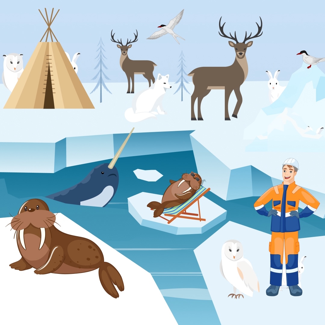 «В Арктике я видел песцов, северных оленей и полярных зайцев», — рассказывает вахтовик Андрей Вычужин с одного из наших месторождений.