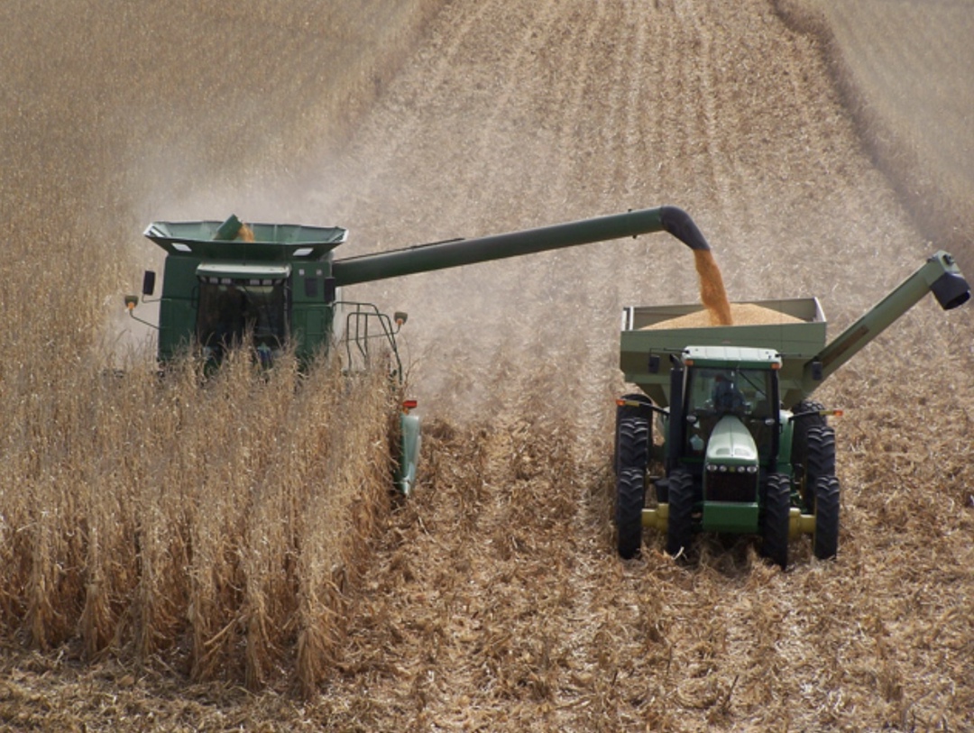 Самое интересное за неделю с 14 по 20 июля