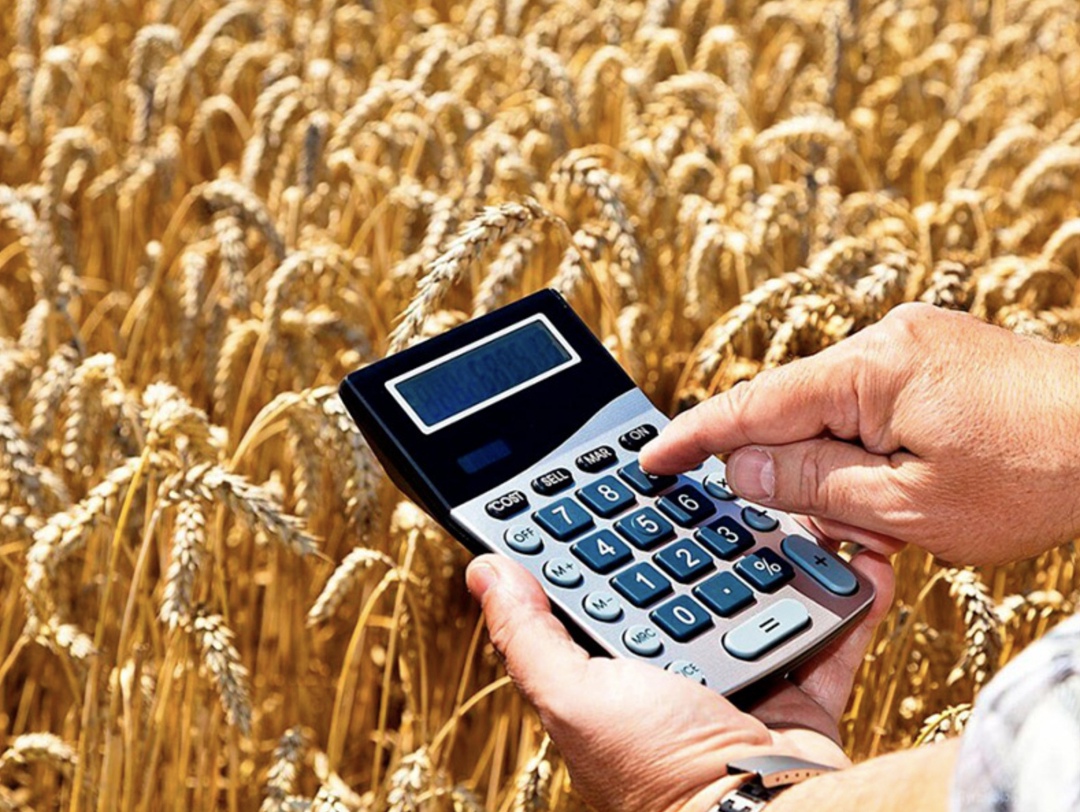 Убытки сельхозпредприятий Краснодарского края из-за гибели культур от засухи оцениваются на уровне 1,5 млрд руб