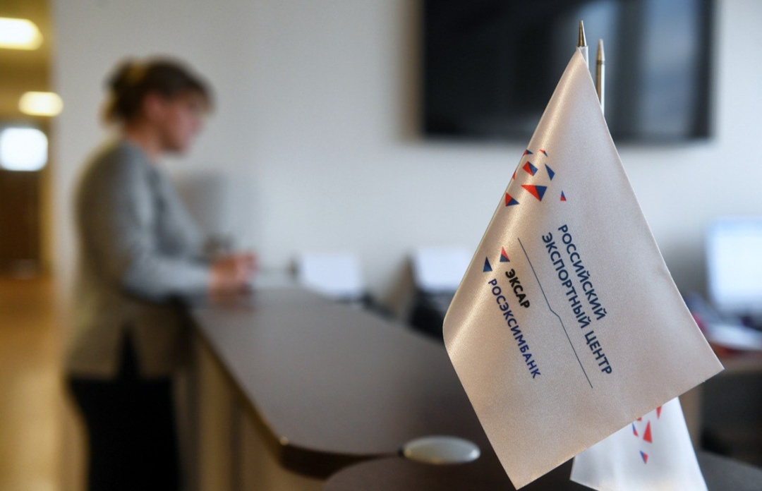 Турецкие власти утвердили введение тарифных квот на импорт семян подсолнечника и подсолнечного масла