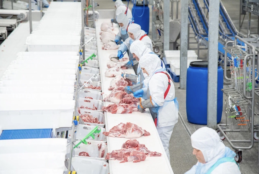 «Агроэко» за шесть месяцев 2025 года переработала 105 тыс. т свинины в живом весе, объем выпущенной продукции достиг 86,8 тыс. т. В том числе компания в два…