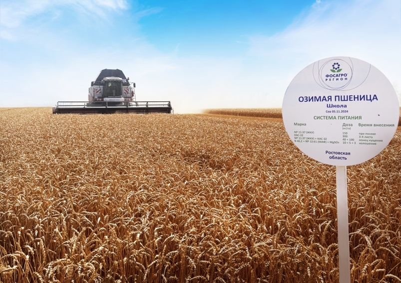 Более 90 ц/га зерна в засуху