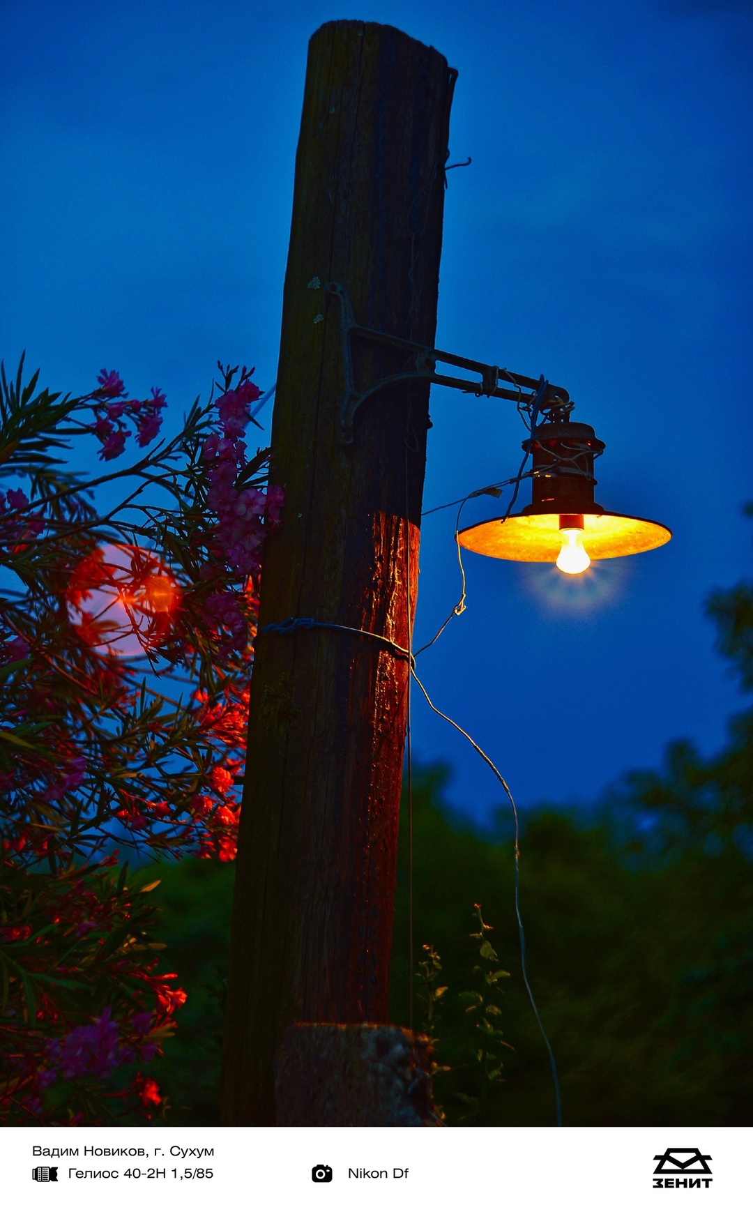 Пламенный привет из Абхазии передает фотограф Вадим Новиков. Это не просто сказочные фотографии южных красот, это мир сквозь объектив «Гелиос 40-2H 1,5/85»,…