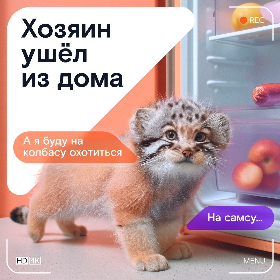 Новый мем в интернете напоминает: пока вы гуляете или работаете, дома ваш зверёк уже поглядывает в сторону забытых угощений на столе.