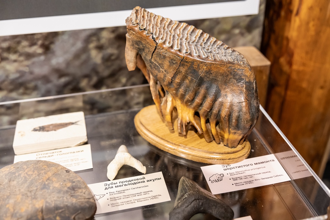 Музей нефти в Шугурово вошел в ТОП-15 самых НЕОБЫЧНЫХ мест России!