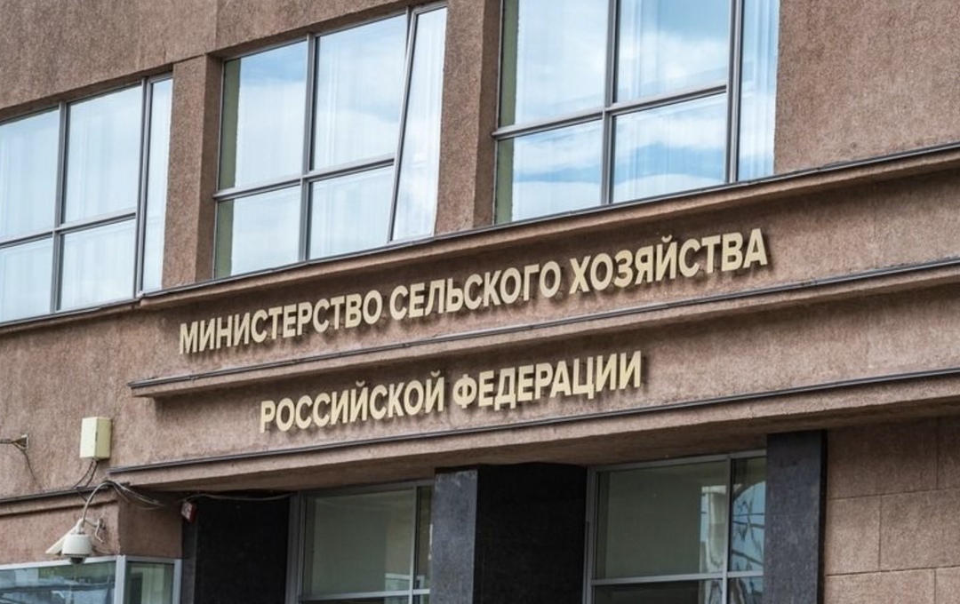Сумма финансовых нарушений, выявленных в Минсельхозе в 2024 году, составила 468,5 млн руб., сообщается в материалах Счетной палаты по итогам проверки…
