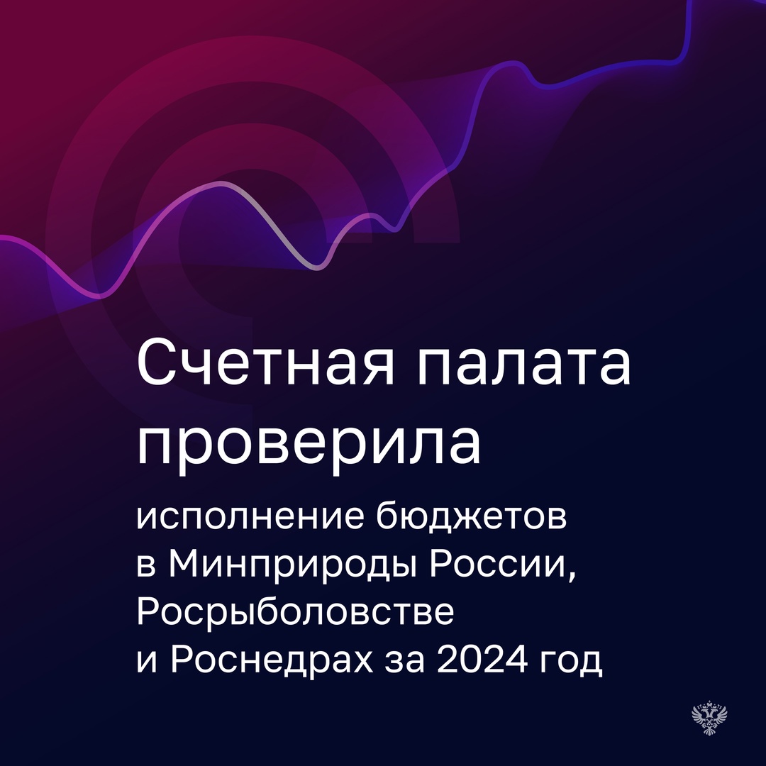 В 2024 году Минприроды и Росрыболовство перевыполнили план по доходам. Так, у Министерства объем поступлений составил 5,5 млрд рублей - в 15 раз выше прогноза.