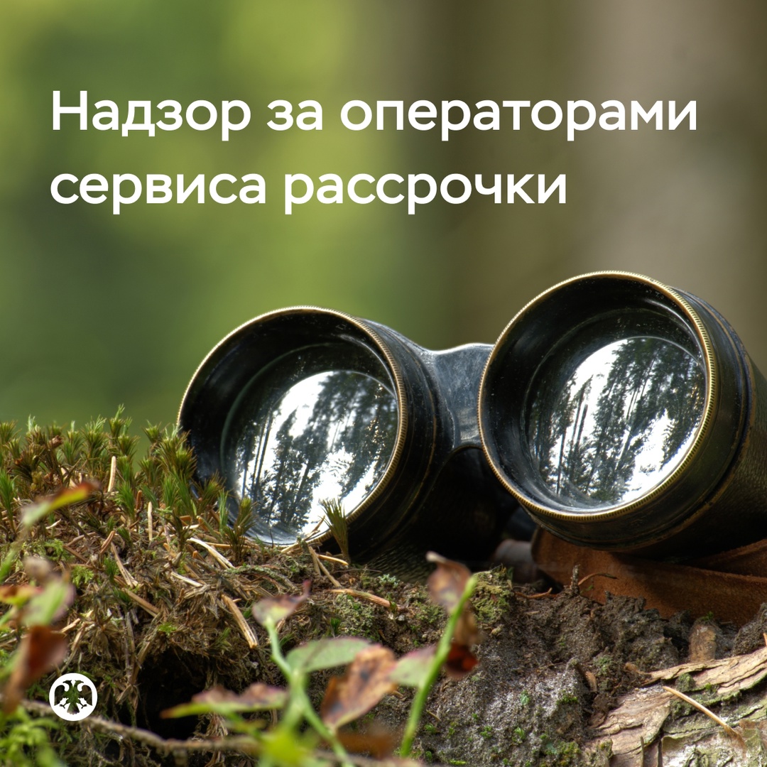 Банк России будет вести надзор за операторами сервиса рассрочки