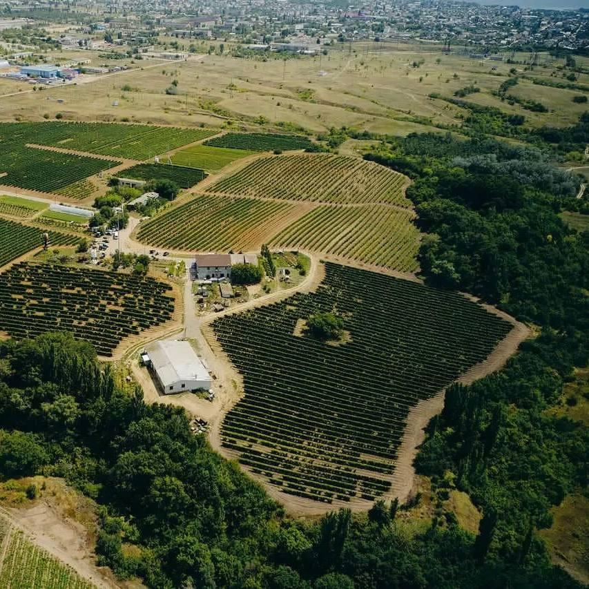 Семейная винодельня «Гусевъ» – место, ставшее символом Нижней Волги