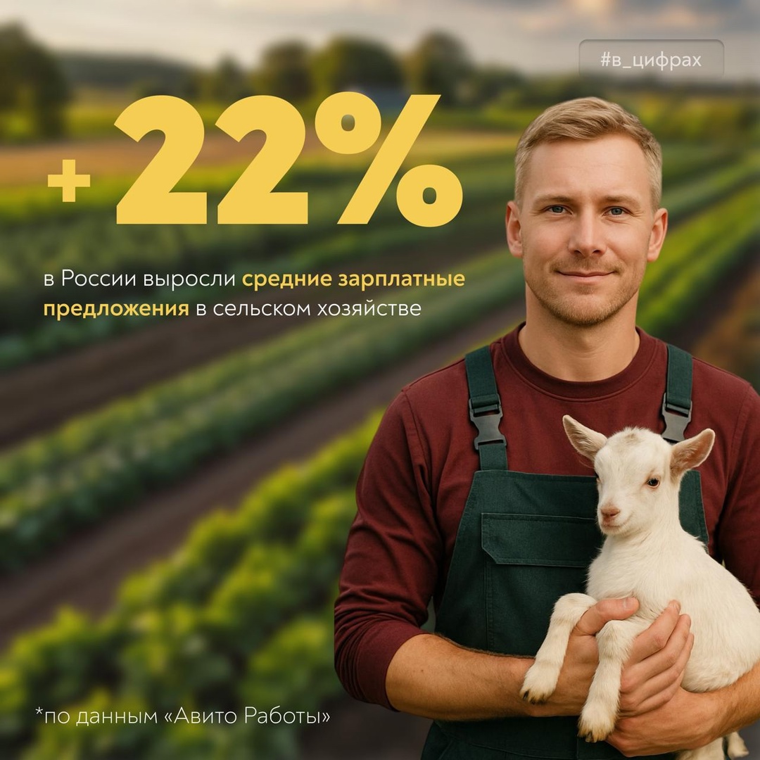 Средние зарплатные предложения в сельском хозяйстве выросли на 22%