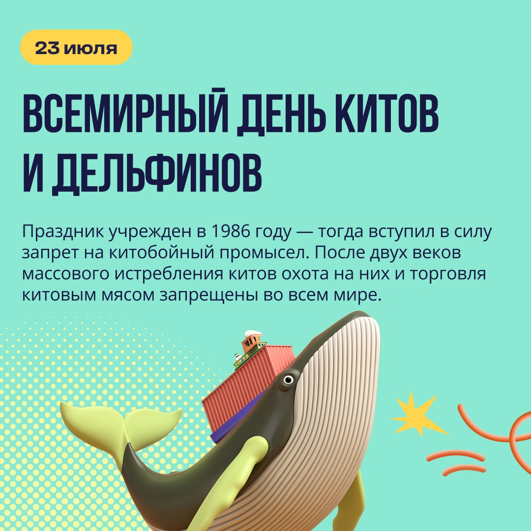 Всемирный день китов и дельфинов XX век чуть не поставил точку в истории китов