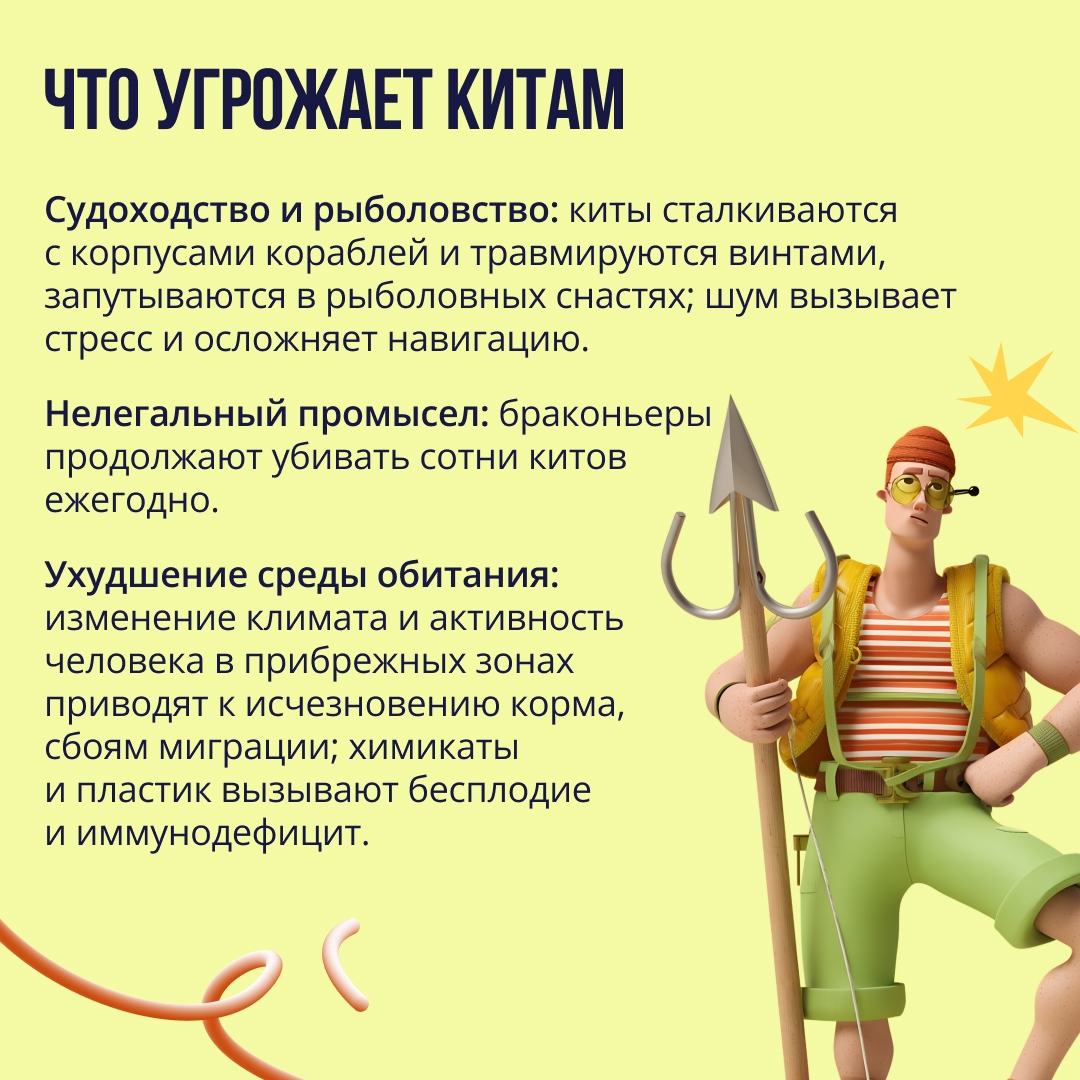 Всемирный день китов и дельфинов XX век чуть не поставил точку в истории китов