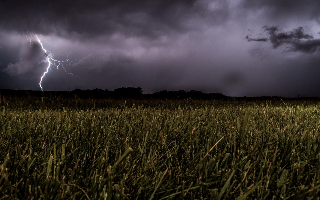 В Новгородской области, где введен режим ЧС в связи с переувлажнением почвы, застрахован только 1% посевных площадей – около 2 тыс