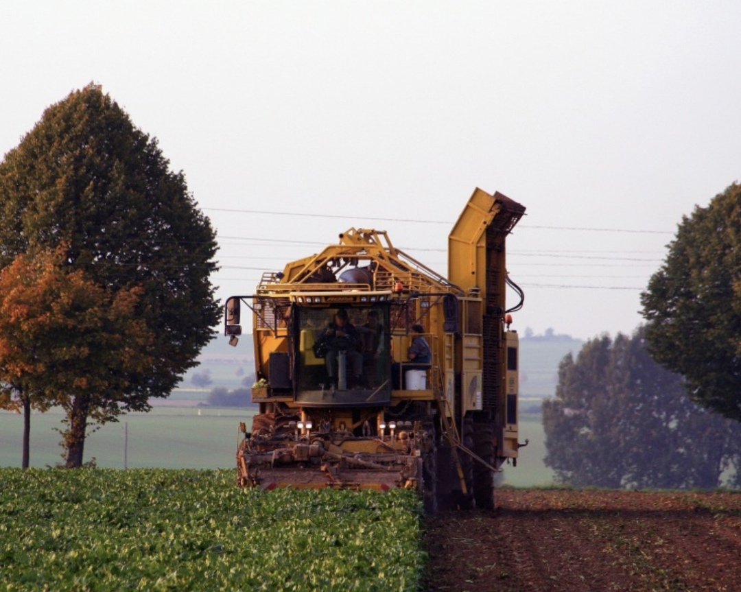 Работа в сельском хозяйстве стала более привлекательной, чем это было пять лет назад, особенно остро перемены чувствует молодежь, свидетельствуют результаты…