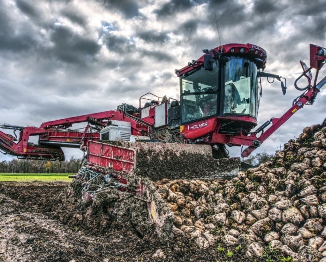 По состоянию на 21 июля посевы сахарной свеклы в большинстве регионов были в основном в хорошем и удовлетворительном состоянии, сообщил Союзроссахар.…