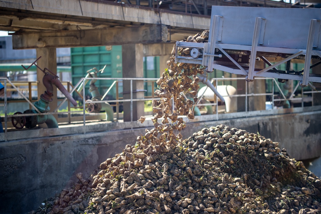 Сахарный завод «Свобода», входящий в ГК «Прогресс Агро», первым в России начал приемку и переработку сахарной свеклы урожая. В этом сезоне на предприятии…