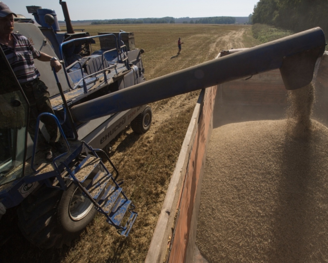 Минсельхоз сохраняет прогноз урожая зерна в этом году на уровне 135 млн т при благоприятных погодных условиях в период уборки, пишет «Интерфакс» со ссылкой на…