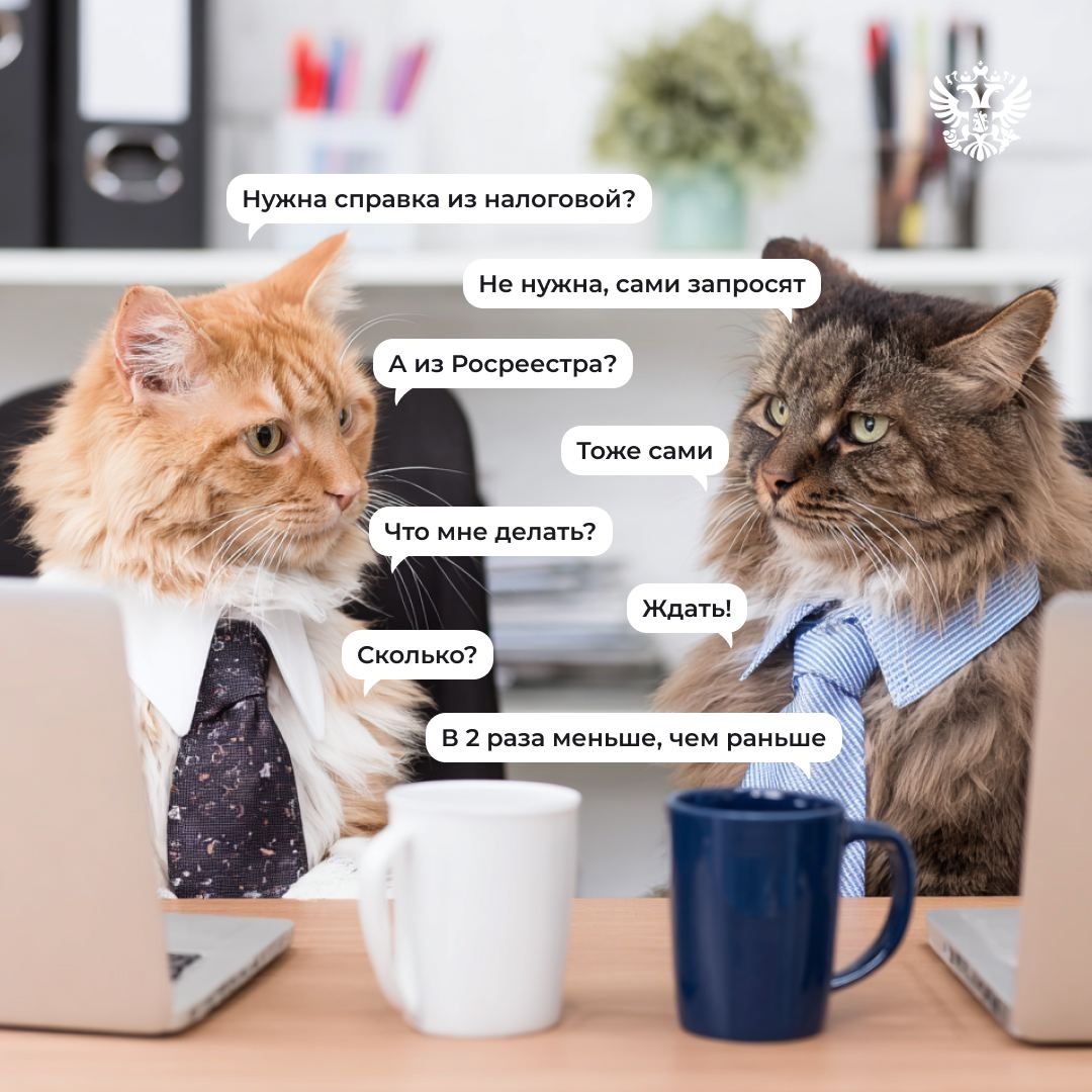 Сколько нужно ждать, чтобы получить лицензию или разрешение для бизнеса?