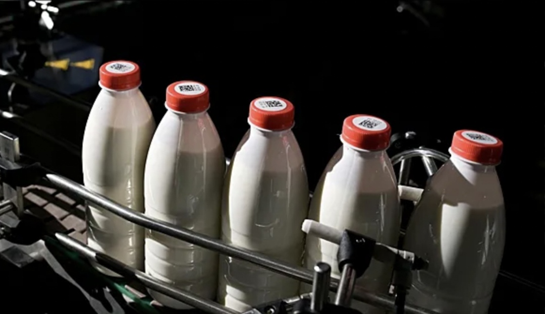 По данным Минсельхоза, по состоянию на 21 июля суточный объем реализации молока сельхозорганизациями составил 58,4 тыс. т, что на 2,8% (+1,6 тыс