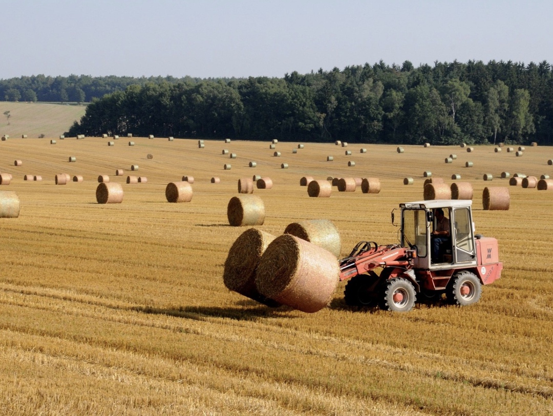 Сельскохозяйственная отрасль будет все больше консолидироваться, поскольку крупным вертикально интегрированным холдингам, которые ведут разнообразную…