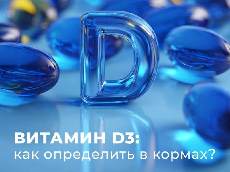 Эксперты МЕГАМИКС сравнили методы испытаний кормового витамина D в России и Китае