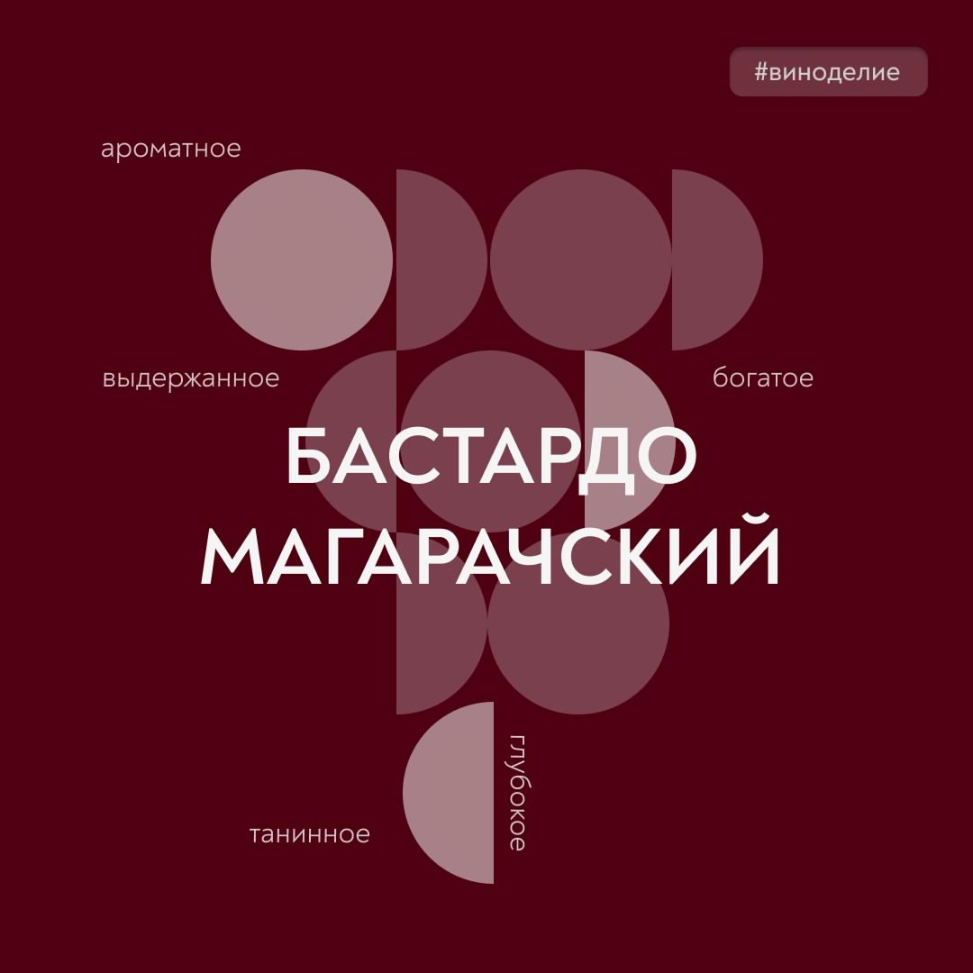 Он из культовой коллекции! Сегодня в нашей совместной с «Винным гидом России» рубрике #вино_недели – бастардо магарачский, сорт с выдающимся потенциалом