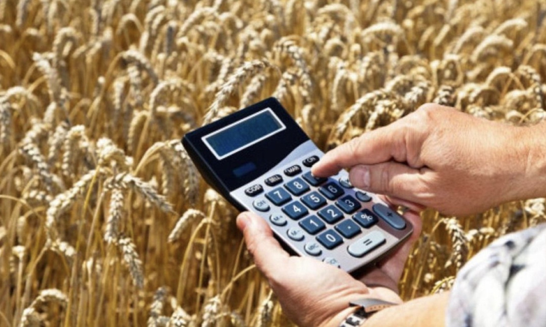 В первом полугодии агростраховщики перечислили сельхозпроизводителям в системе агрострахования с господдержкой 4,6 млрд руб