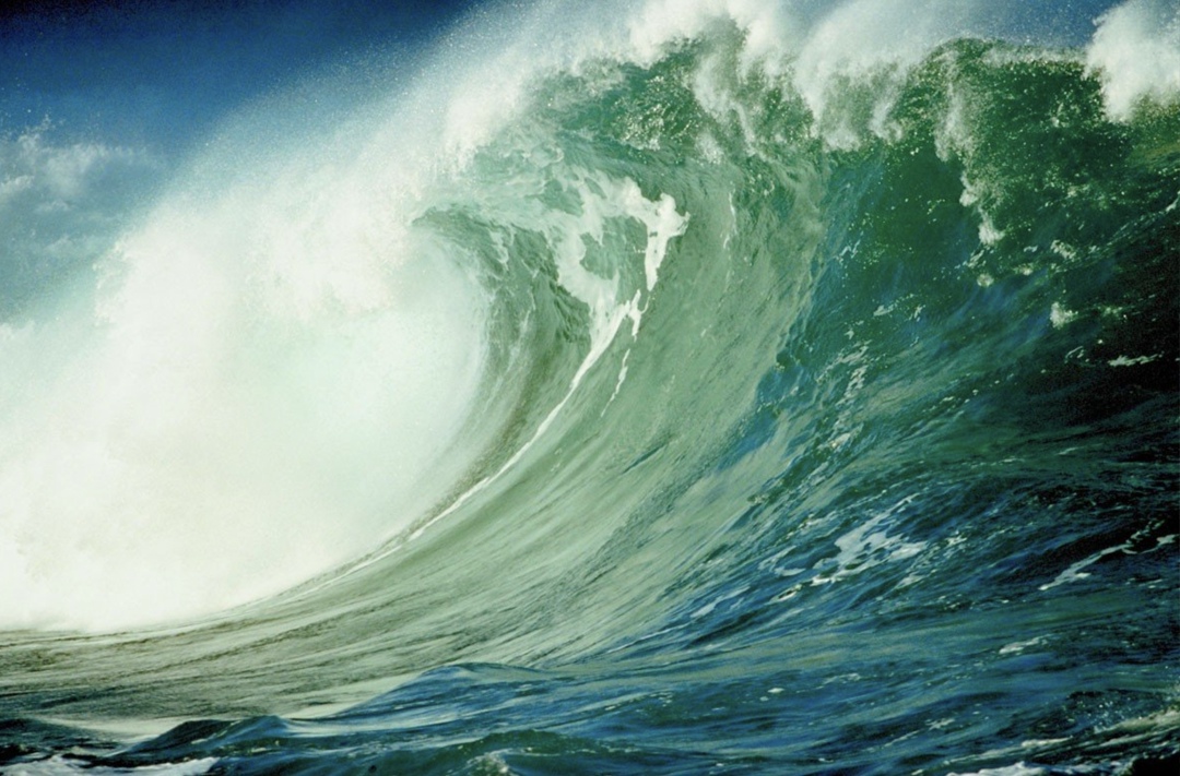 Волна цунами затопила предприятия рыбохозяйственного комплекса в Северо-Курильске, никто не пострадал