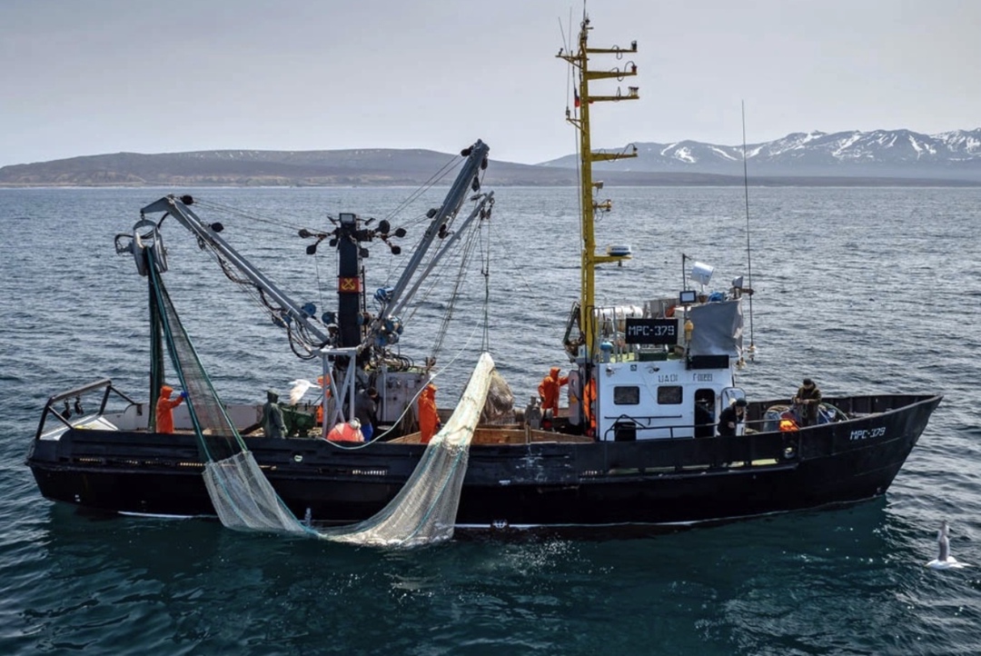 Рыбопромышленные компании расторгли инвестиционные контракты на строительство 16 судов, заказанных ими на российских верфях в ходе первого этапа федеральной…