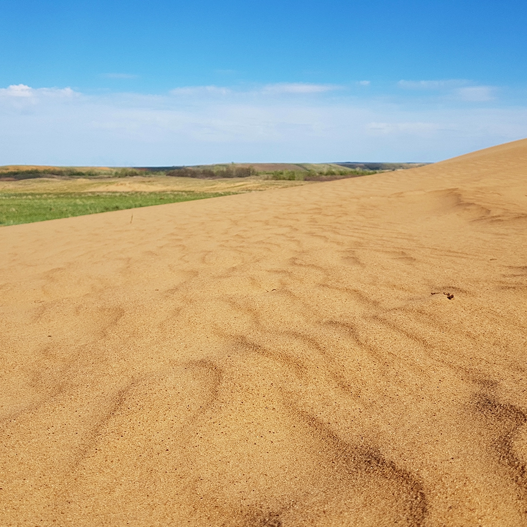Природа и промышленность могут быть соседями. Это главный посыл фотоальбома «В согласии с природой Оренбуржья», который коллеги из «Газпром добыча Оренбург»…