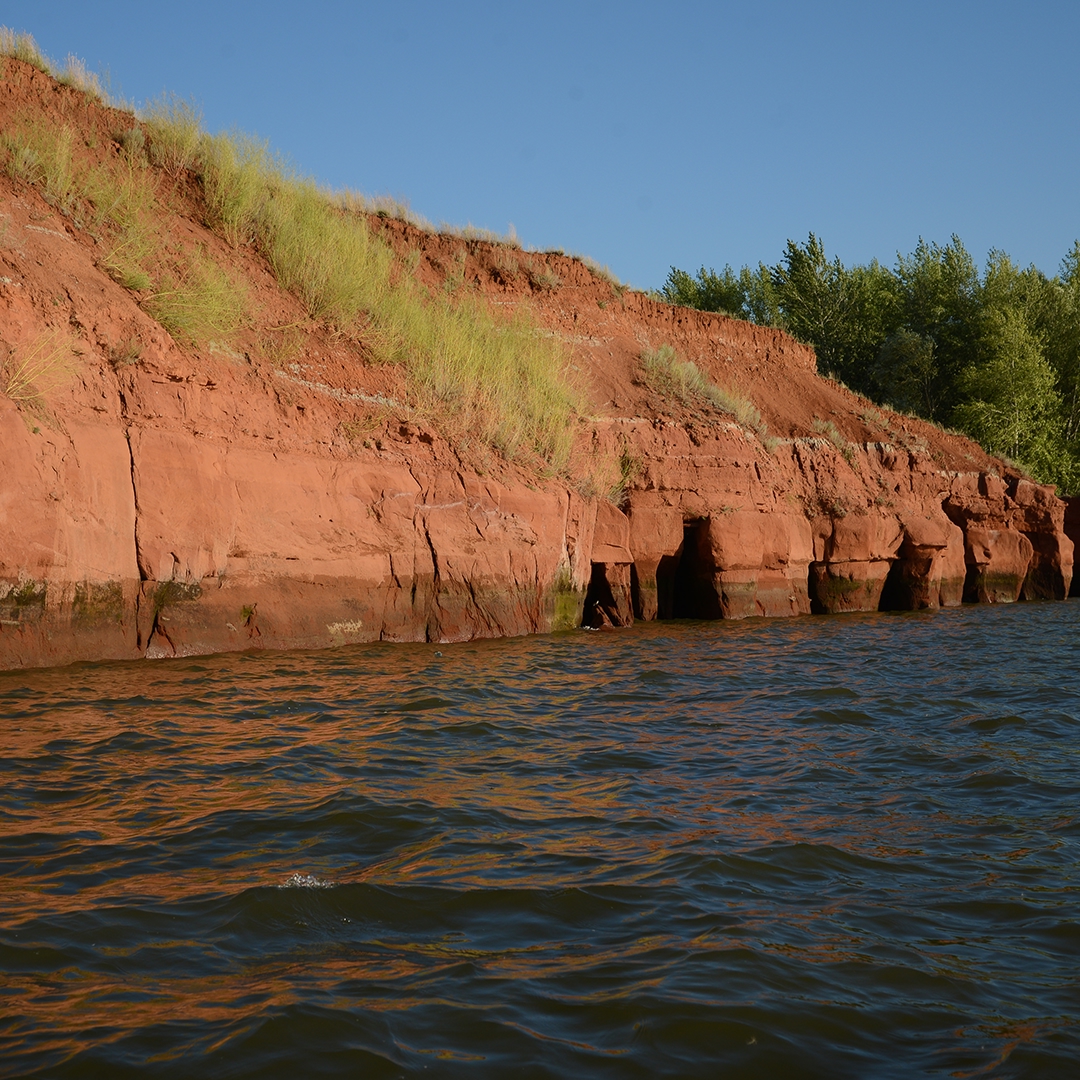 Природа и промышленность могут быть соседями. Это главный посыл фотоальбома «В согласии с природой Оренбуржья», который коллеги из «Газпром добыча Оренбург»…