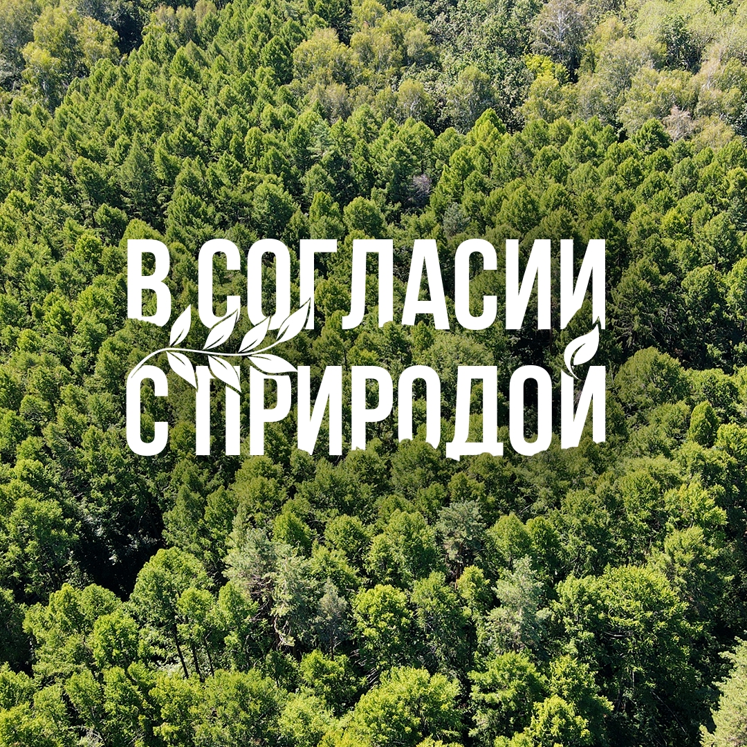 Природа и промышленность могут быть соседями. Это главный посыл фотоальбома «В согласии с природой Оренбуржья», который коллеги из «Газпром добыча Оренбург»…