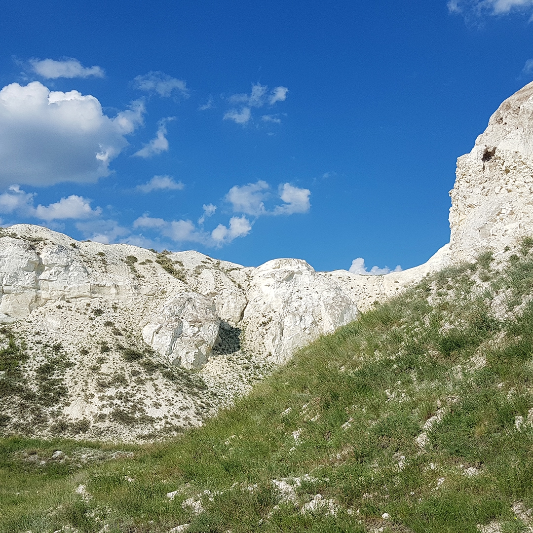 Природа и промышленность могут быть соседями. Это главный посыл фотоальбома «В согласии с природой Оренбуржья», который коллеги из «Газпром добыча Оренбург»…