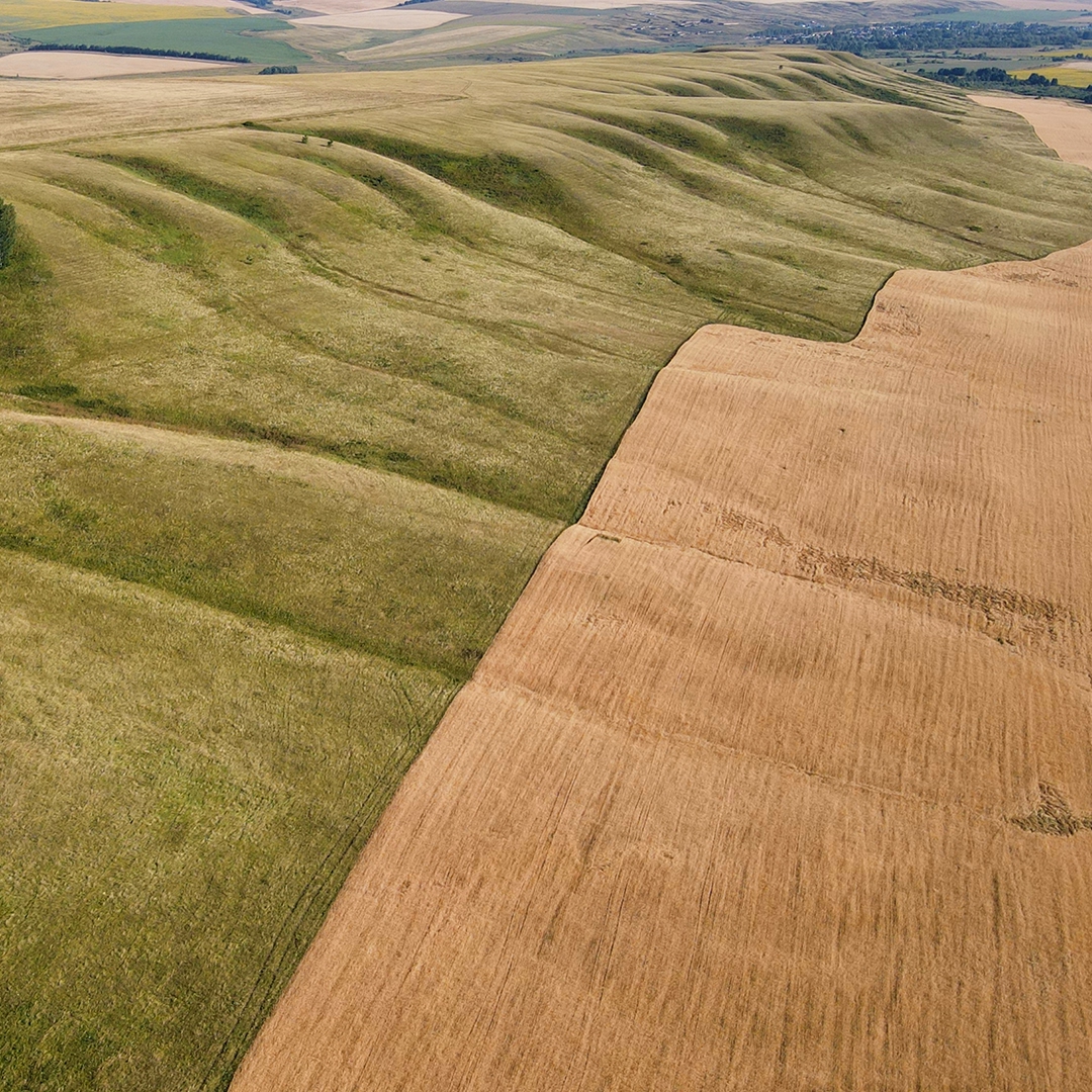 Природа и промышленность могут быть соседями. Это главный посыл фотоальбома «В согласии с природой Оренбуржья», который коллеги из «Газпром добыча Оренбург»…