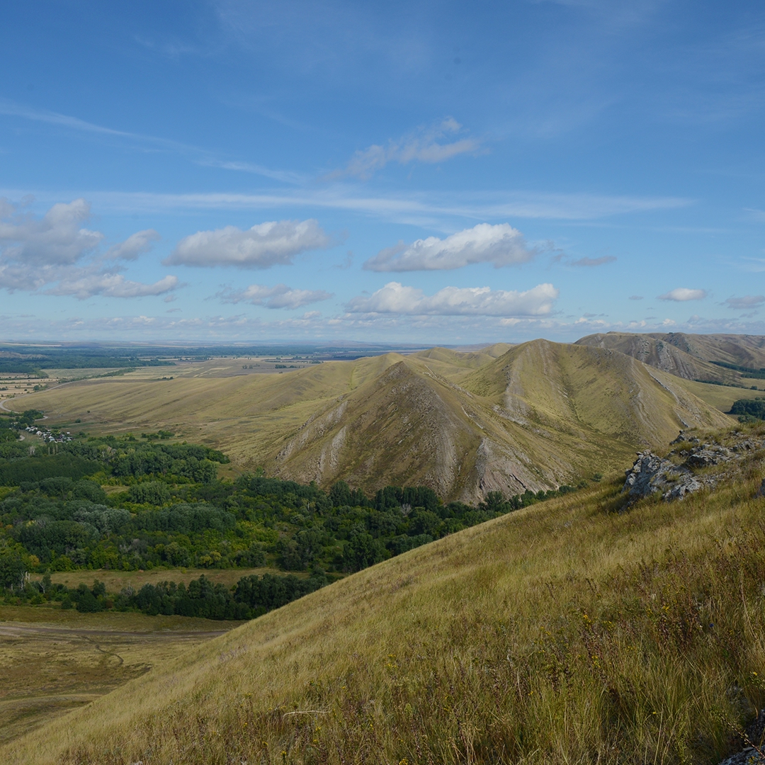 Природа и промышленность могут быть соседями. Это главный посыл фотоальбома «В согласии с природой Оренбуржья», который коллеги из «Газпром добыча Оренбург»…