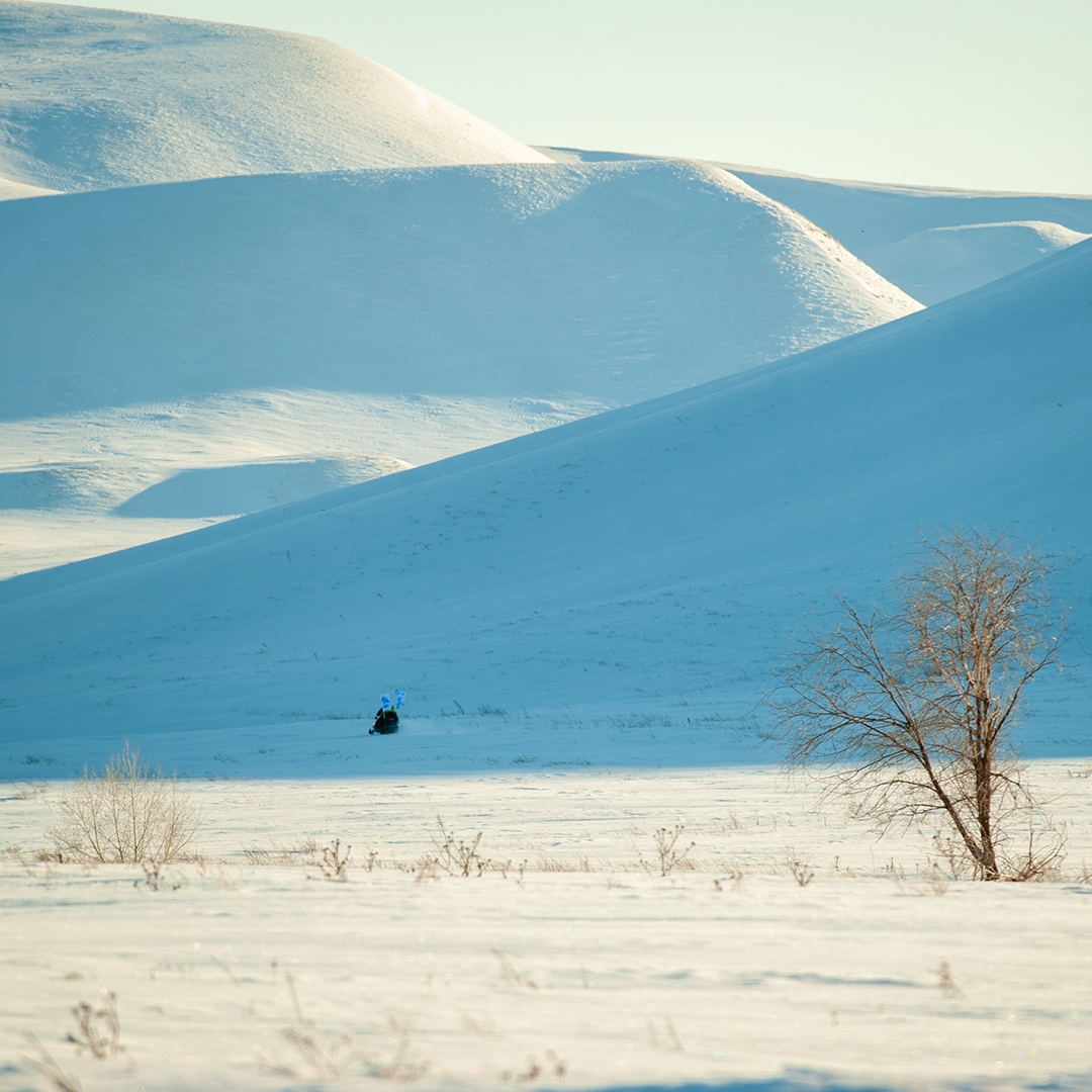 Природа и промышленность могут быть соседями. Это главный посыл фотоальбома «В согласии с природой Оренбуржья», который коллеги из «Газпром добыча Оренбург»…