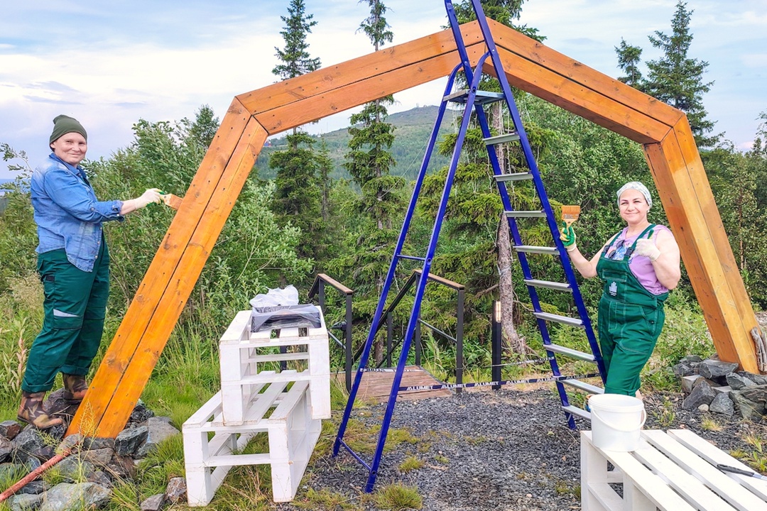 Совместный труд объединяет: как волонтеры благоустроили «Лапарк»