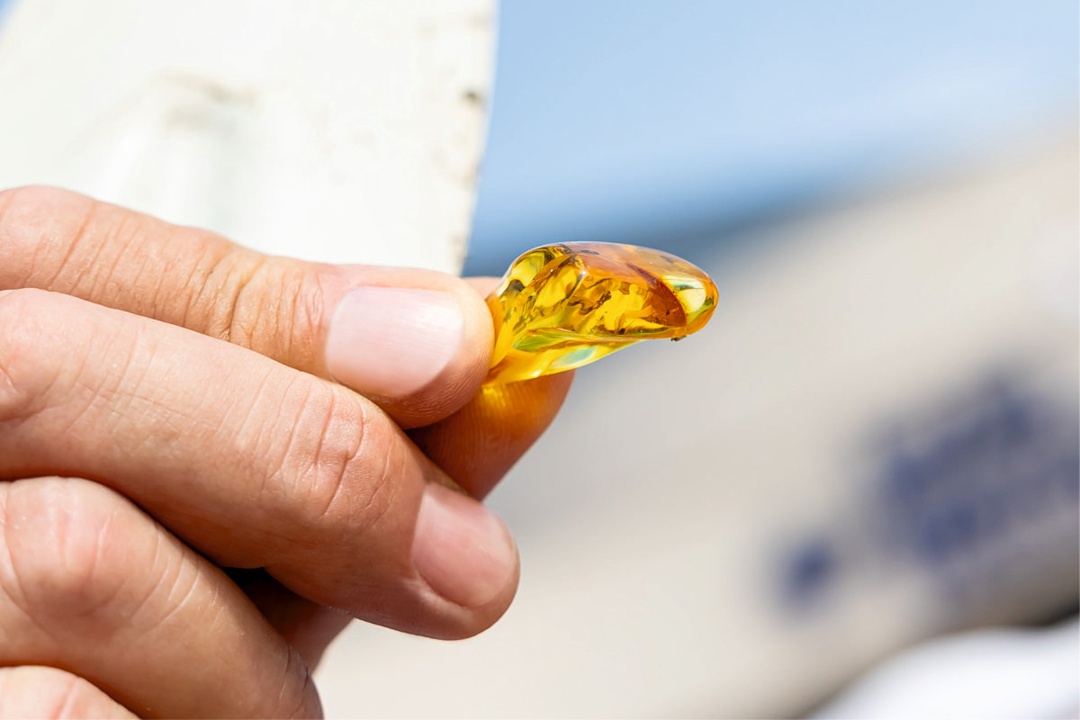 Охота за янтарем: Ростех привез на ВДНХ миллион «солнечных» камней