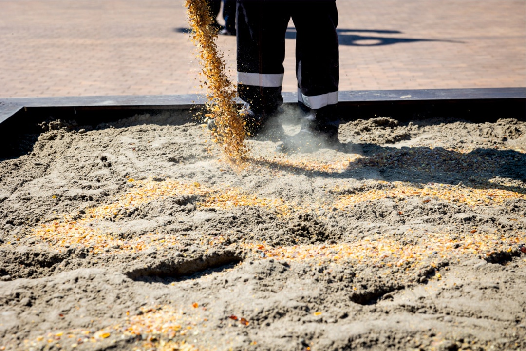 Охота за янтарем: Ростех привез на ВДНХ миллион «солнечных» камней