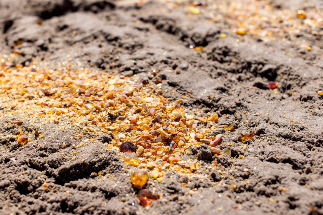 Охота за янтарем: Ростех привез на ВДНХ миллион «солнечных» камней