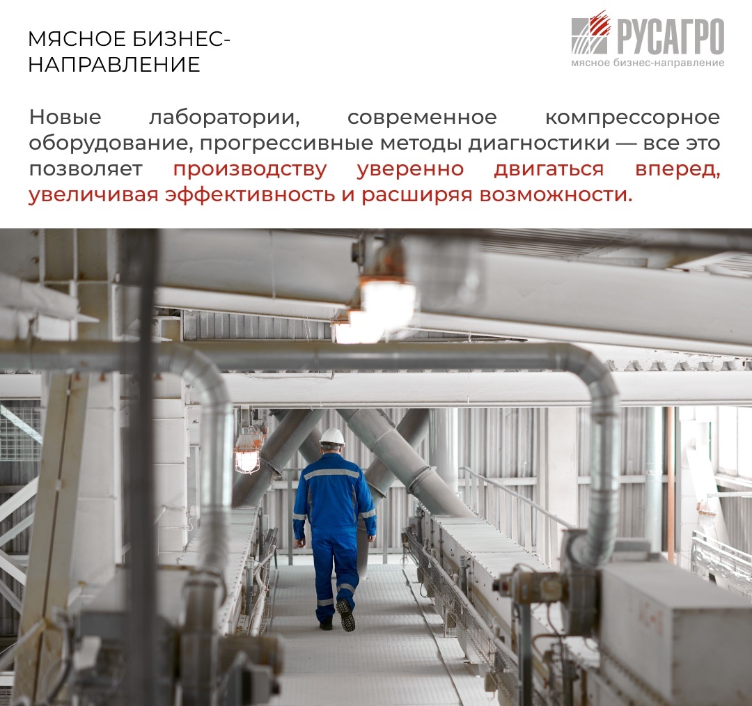 2025 год — юбилейный для Мясного бизнеса «Русагро». Нам 15 лет, и за этой датой — история уверенного роста, смелых решений и слаженной командной работы