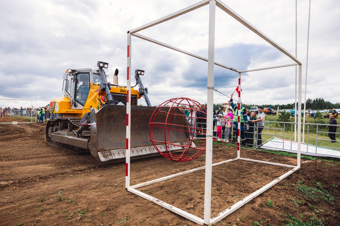 Перед вами настоящие профессионалы!