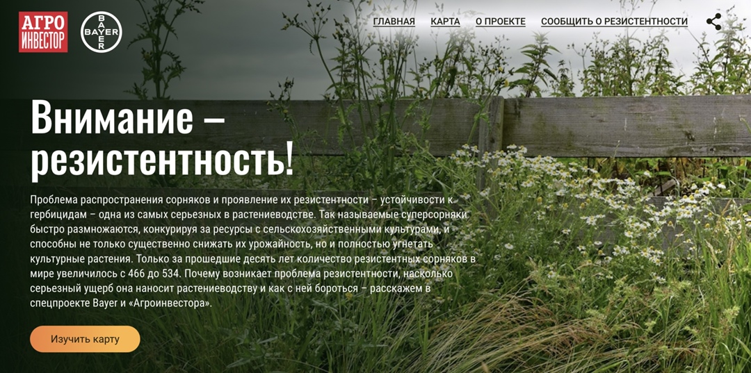 Президент Владимир Путин подписал закон, который обязывает владельцев земельных участков принимать меры по борьбе с борщевиком Сосновского и другими опасными…