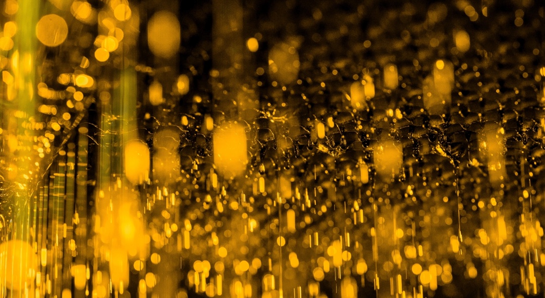 Мед для глаз: смотрим и любуемся сотами обнинской «Технологии»