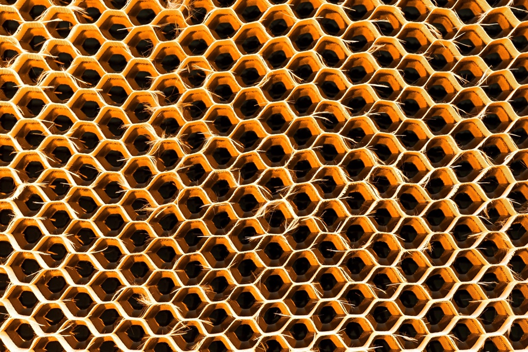 Мед для глаз: смотрим и любуемся сотами обнинской «Технологии»