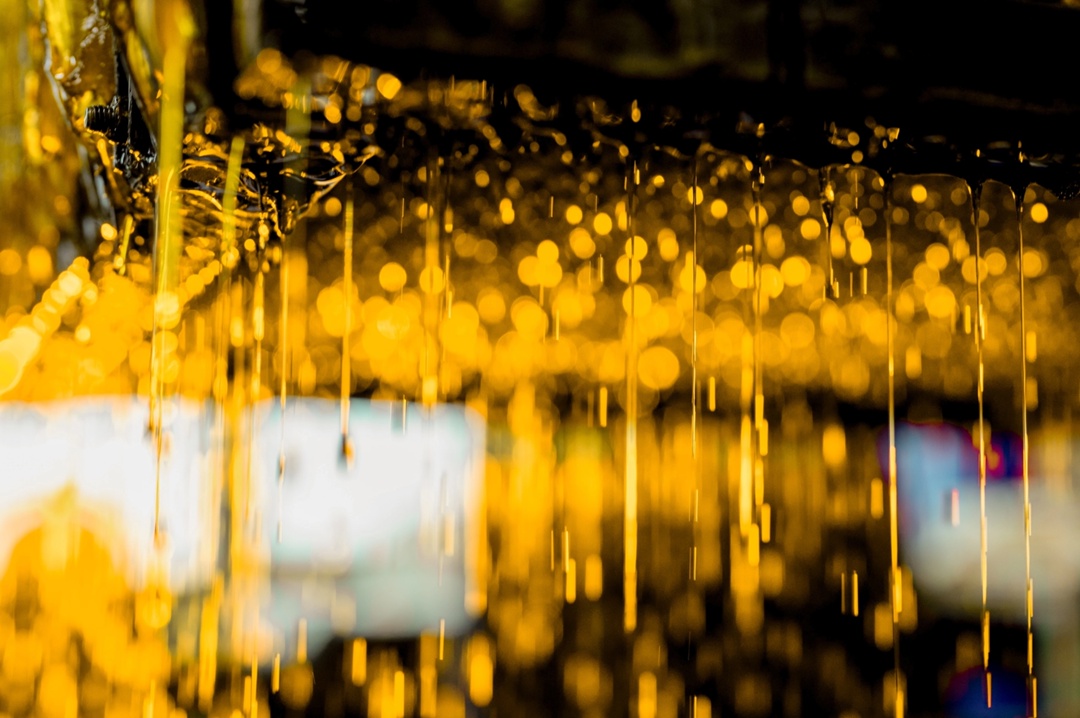 Мед для глаз: смотрим и любуемся сотами обнинской «Технологии»