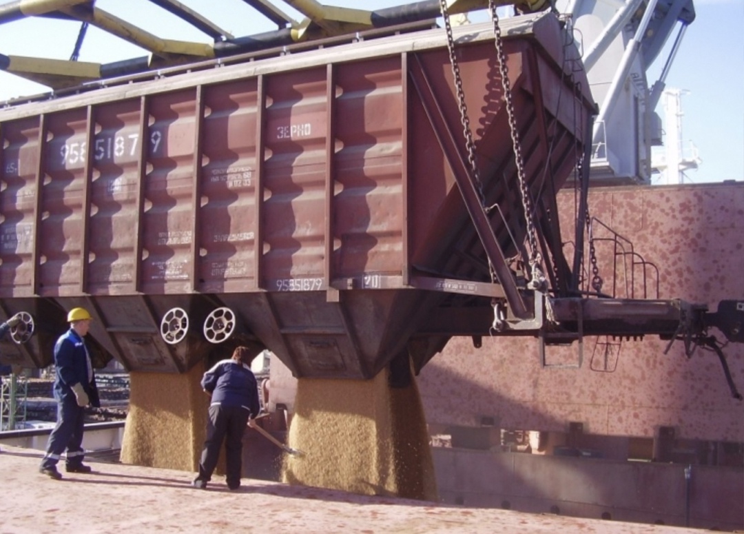 Аналитический центр «СовЭкон» понизил прогноз урожая пшеницы в России на 0,3 млн т, до 83,3 млн т