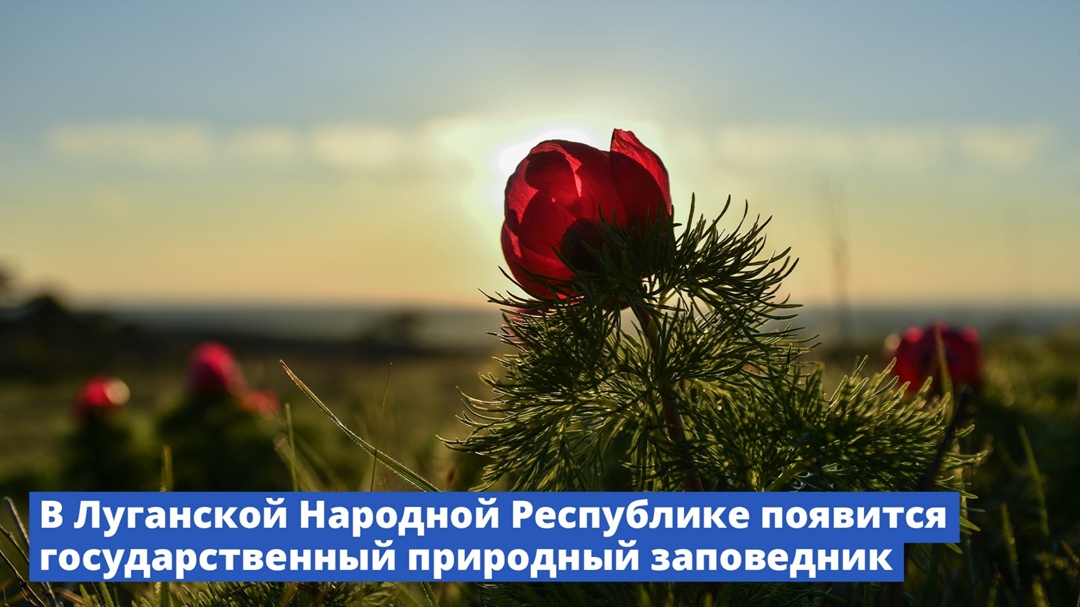 В Луганской Народной Республике появится государственный природный заповедник