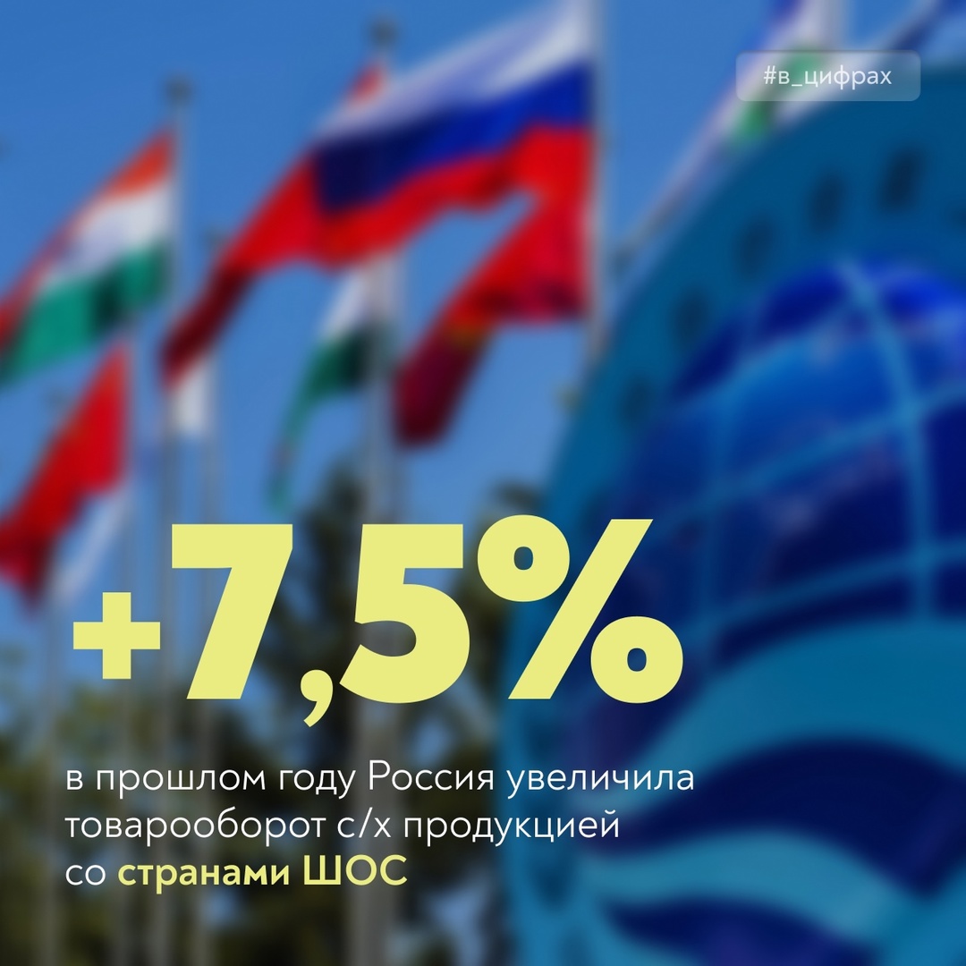 Развиваем торгово-экономическое сотрудничество со странами ШОС